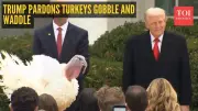 Trump's Turkey Pardon Chaos: Missing Bird & Political Jabs Dominate Ceremony