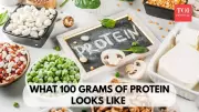 Visual Guide: What 100g of Protein Looks Like For Different Diets