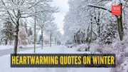 Winter's Magic Through Famous Authors' Eyes | 8 Heartwarming Quotes That Capture The Season's Beauty