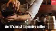 World's Most Expensive Coffee at ₹83,000 Per Cup Brews in India - Kopi Luwak Luxury Experience