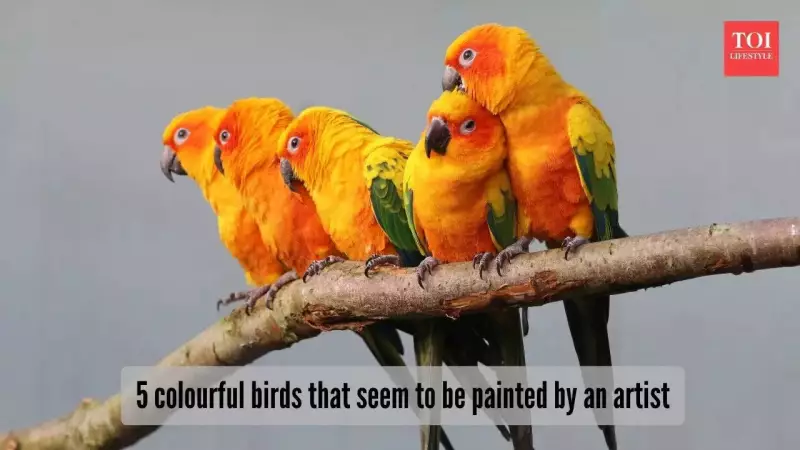 5 Most Colourful Birds in the World: Nature's Flying Rainbows