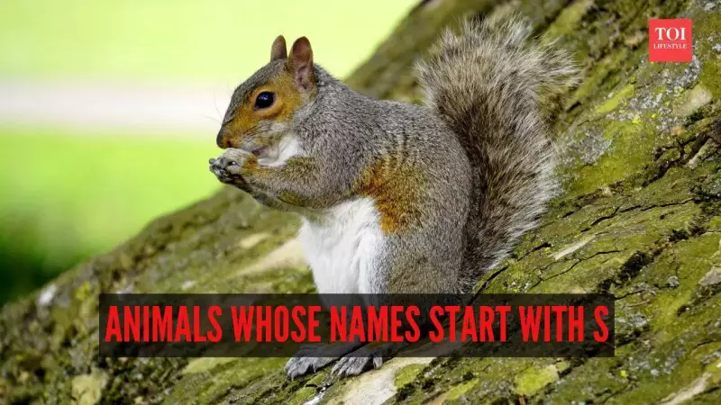 8 Amazing Animals Whose Names Start With The Letter 'S'