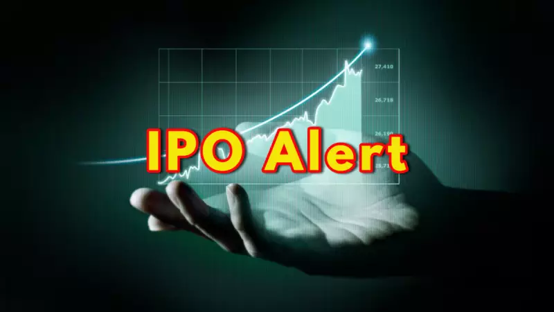 Aequs, Vidya Wires, Meesho IPO GMP & Key Details for Investors