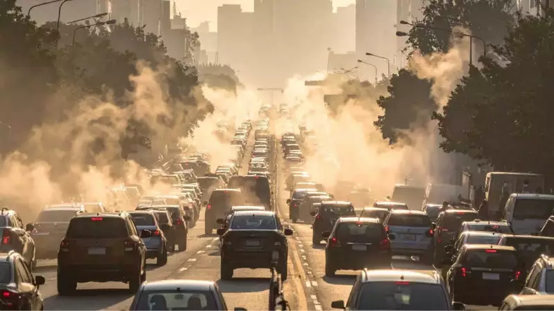 Air Pollution's Hidden Toll: 4 Major Impacts on Mental Health and Brain Function