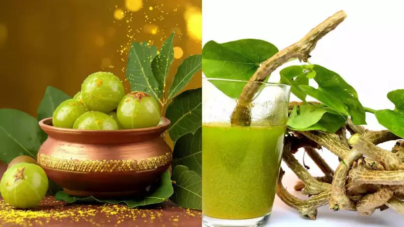 Amla vs Giloy for Diabetes: Which Ayurvedic Juice is Better?