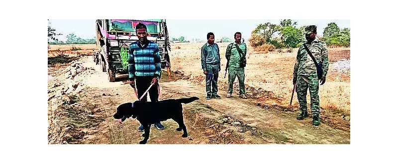 Chatra Murder: Wife, Lover Strangle Husband, Dump Body in Valley