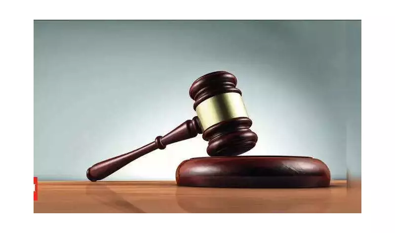 Chennai Housing Society Faces Court Case Over Illegal Stadium on Public Land