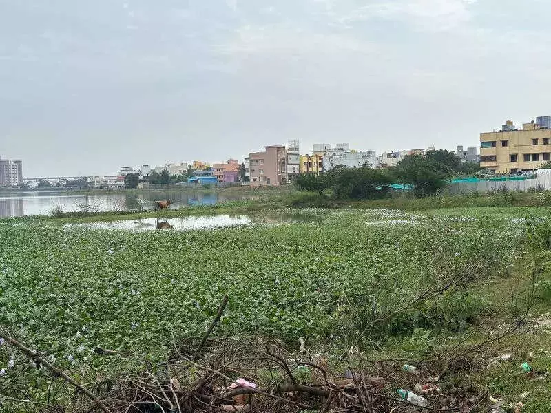 Chennai's 43 Crore Retteri Lake Reservoir Project Stalled for 2 Years
