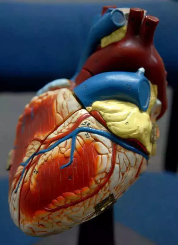 Childhood Hypertension Doubles in 20 Years: Lancet Study Reveals Alarming Global Rise