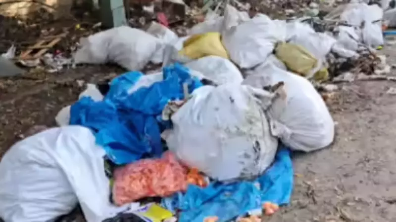 Coimbatore Seeks 200 Vehicles, 3000 Workers to Fix Waste Crisis