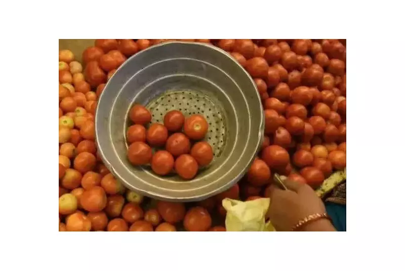 Cyclone Ditwah to Push Tomato Prices Past ₹100 in Andhra Pradesh