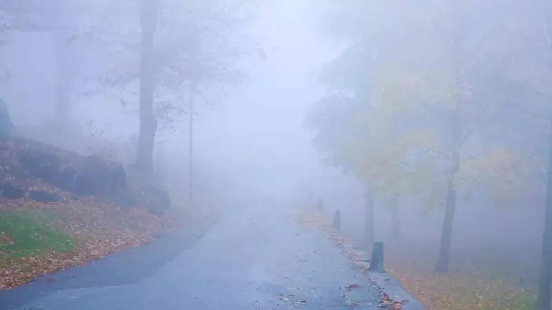 IMD Forecast: Cold Wave, Dense Fog, and Rain to Hit India from Dec 5