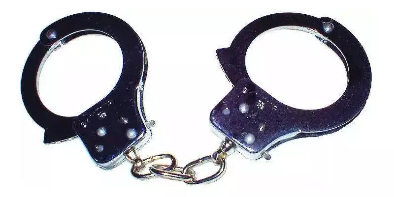 Key Accused in Gurdaspur Grenade Attack Arrested in Bathinda, Links to Pakistan-Based Gangster Revealed