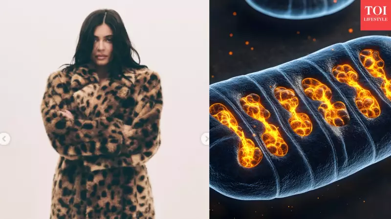 Kylie Jenner's 3-Year Stem Cell Therapy Battle With Chronic Back Pain