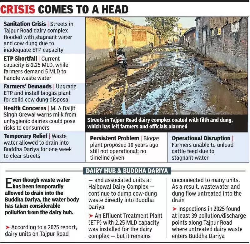 Ludhiana Dairy Farmers Face Sanitation Crisis as ETP Fails