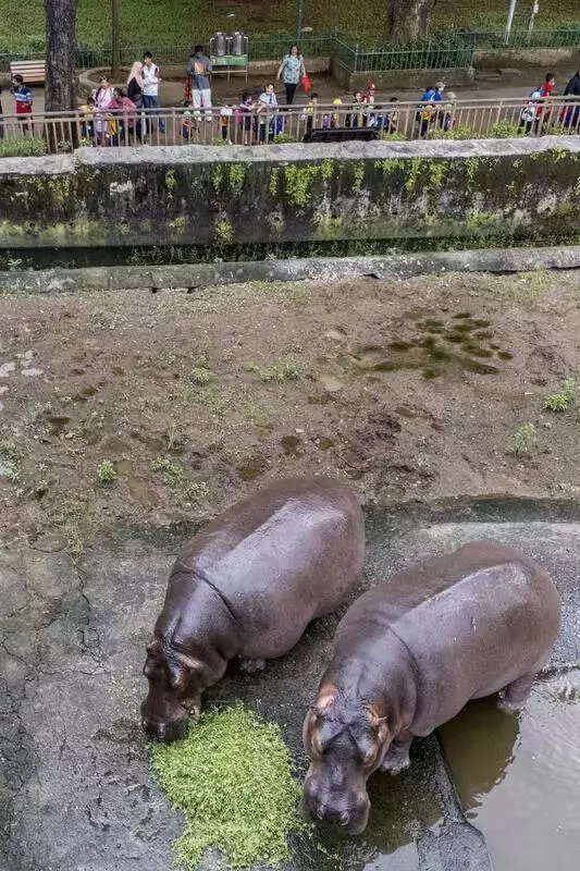 Mumbai's Byculla Zoo Launches Rs 500 Crore Exotic Animal Zone After 3-Year Delay