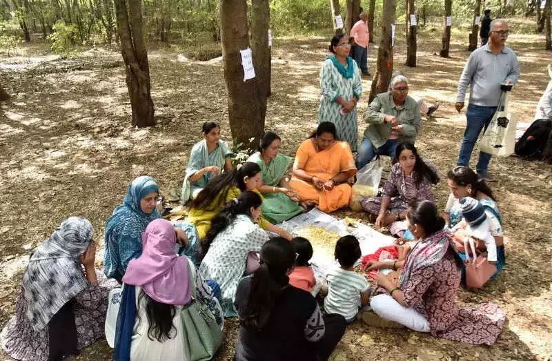 Nashik Residents Rally to Save 1,700 Trees from Axe for Sadhugram Project