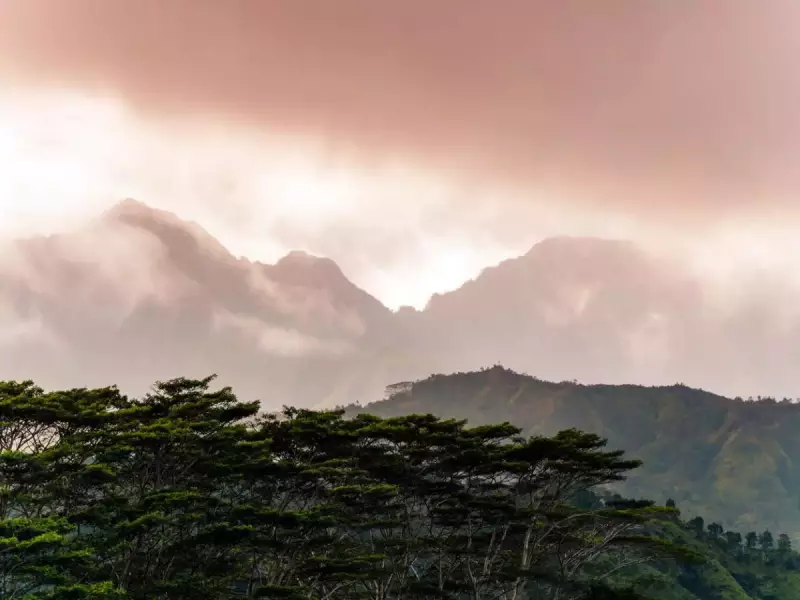 Panaji Mercury Dips Below 20°C: Winter Arrives Early in Goa