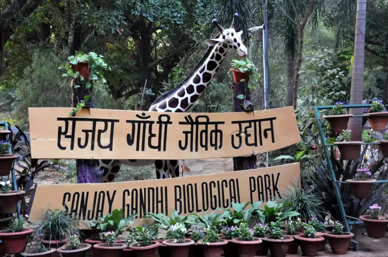 Patna Zoo Deploys 50 Oil Heaters & Special Diet to Protect Animals from Cold