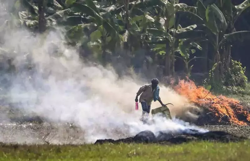 Punjab & Haryana Cut Farm Fires by 90%: Rs 3,120 Crore for CRM Machines Key