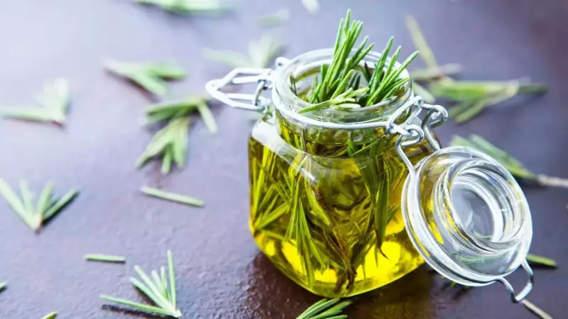 Rosemary Oil for Hair: Science-Backed Benefits for Hairfall & Dandruff