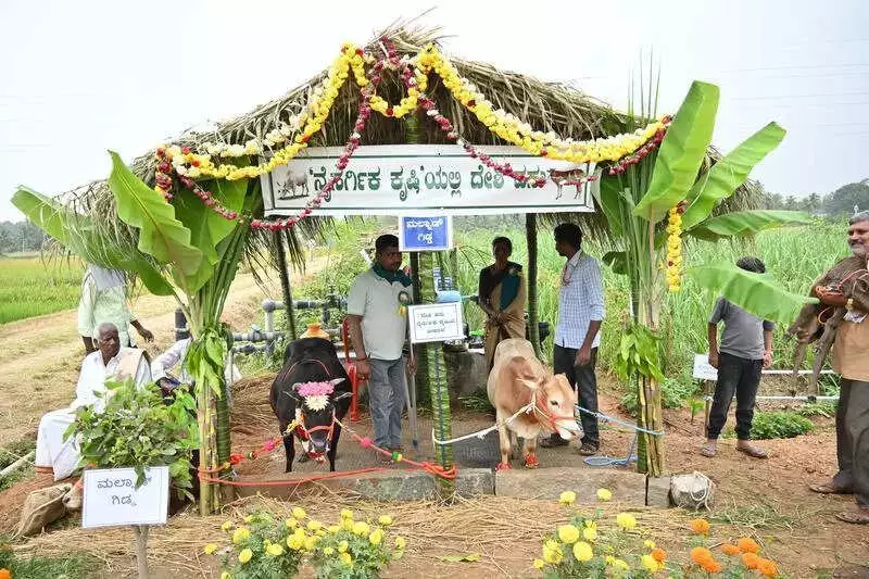 Siddaramaiah Reaffirms Pro-Farmer Stance, Announces Agri Varsity for Mandya