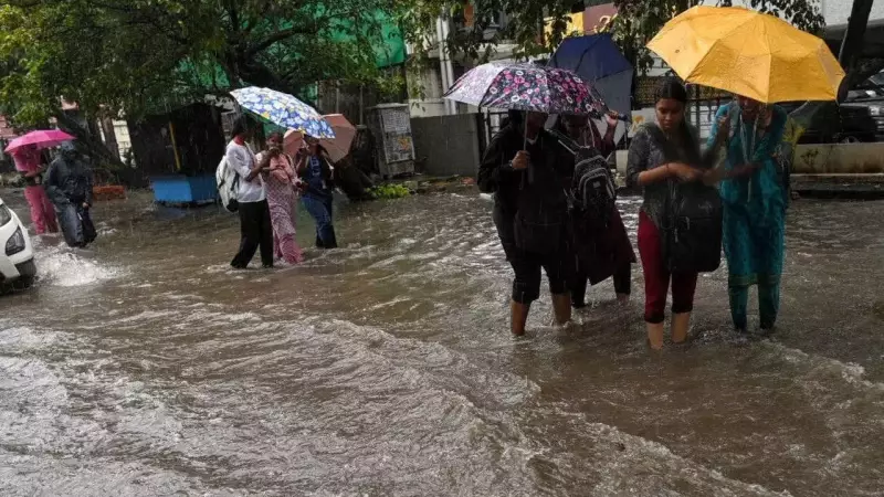 Tamil Nadu Schools Closed on Dec 2 Due to Cyclone Ditwah, Heavy Rain