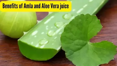 Amla & Aloe Vera: The Ayurvedic Morning Ritual for Gut, Immunity & Energy