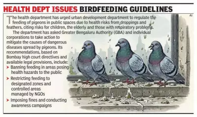 Bengaluru's Pigeon Menace: Govt Denies Risk, Doctors Report Rising Lung Diseases