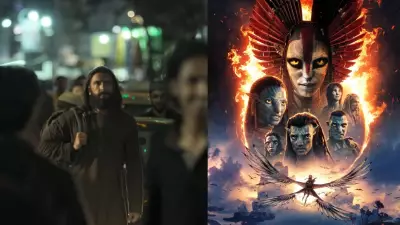 Box Office December 29: Dhurandhar Leads, Avatar 3 & Tu Meri Main Tera Hold Strong