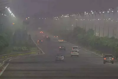 Chandigarh Fog Chaos: Trains 10+ Hours Late, Flights Cancelled for 6th Day