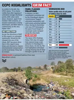 Chandigarh's Sukhna Choe Pollution Crisis: BOD Levels Skyrocket to 286