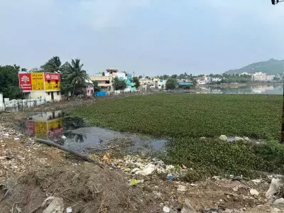 Chennai's Pallavaram Periya Eri Lake: Crores Spent, Yet Sewage Chokes 120-Acre Water Body