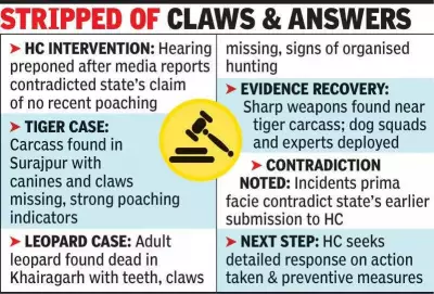 Chhattisgarh HC Demands Answers on Tiger, Leopard Poaching Reports