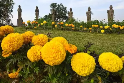 DDA Opens Asita Park Lawns for Events: Daily Rentals from Rs 40,000 to Rs 3.3 Lakh