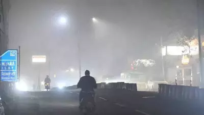 Dehradun's Air Pollution Crisis: Doctors Warn of Rising Heart & Lung Diseases