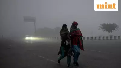 Delhi-NCR Gripped by Dense Fog & Cold Wave, Flights Disrupted Ahead of New Year