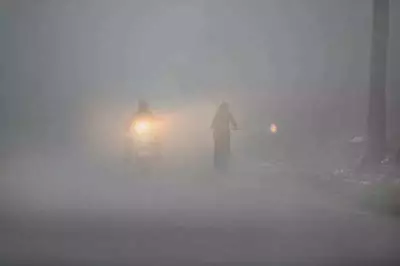 Dense Fog Disrupts North India: 11 Flights Cancelled, Trains Delayed in Chandigarh
