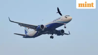 IndiGo Hit with ₹13.28 Lakh GST Penalty, Airline to Challenge Order