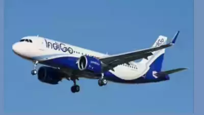 IndiGo Hit with Rs 458.3 Crore GST Penalty, Airline to Challenge Order