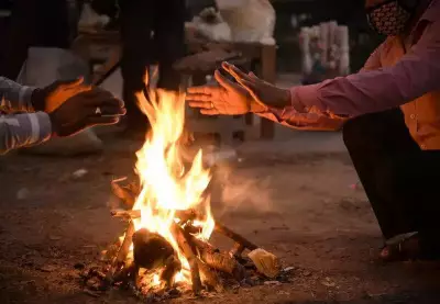 Kolkata Fights Smog: KMC Seeks Police Help to Stop Dry Leaf Burning