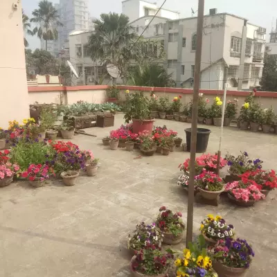 Only 18 Households Join Rooftop Gardening Project in Jeypore, Odisha