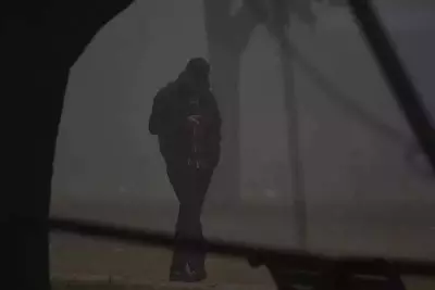 Panchkula Fog Alert: Visibility Drops to 40m, Dense Fog to Persist for 5 Days