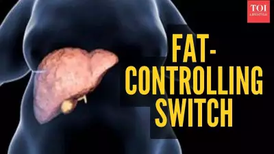 Scientists Discover 'Fat Switch' Enzyme SCoR2: A New Hope for Obesity & Cholesterol