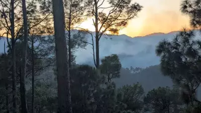 Uttarakhand Tops India's Winter Forest Fire Alerts With 1,900 Incidents