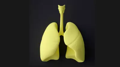 Winter Lung Health: Breaking Smoking's Grip on India's 267 Million Users