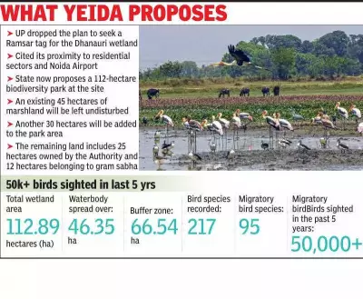 YEIDA Launches Feasibility Study for Dhanauri Wetland Biodiversity Park