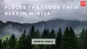 10 Best Places to Visit in North India in January for a Perfect Winter Getaway