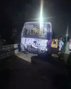 2 Killed, 3 Injured in Chennai Road Accident Involving Stray Cattle