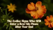 2026 Astrology Predictions: 3 Zodiac Signs Entering a New Life Phase